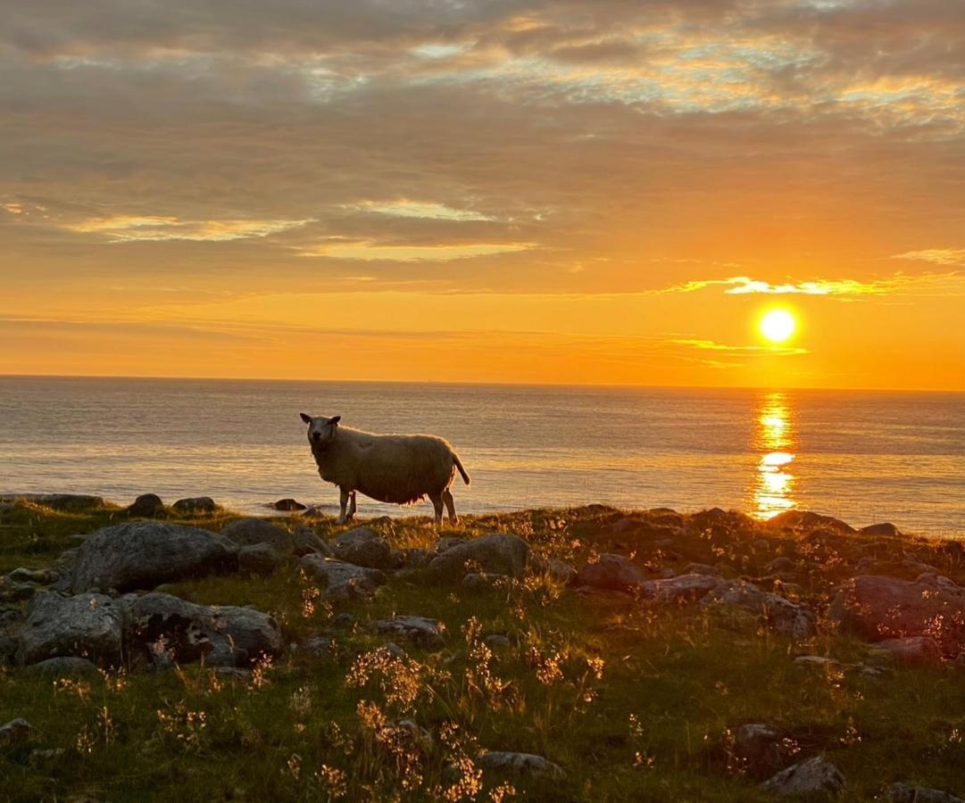 Perfekt Base For Det Meste! Leknes Esterno foto